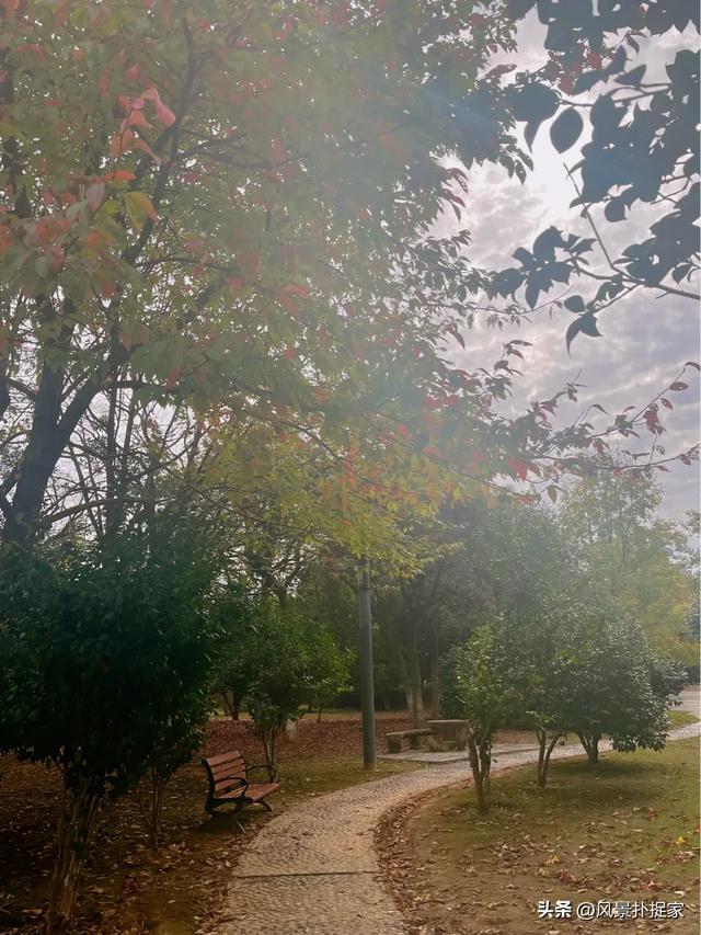 南昌的晚秋，风景美如画