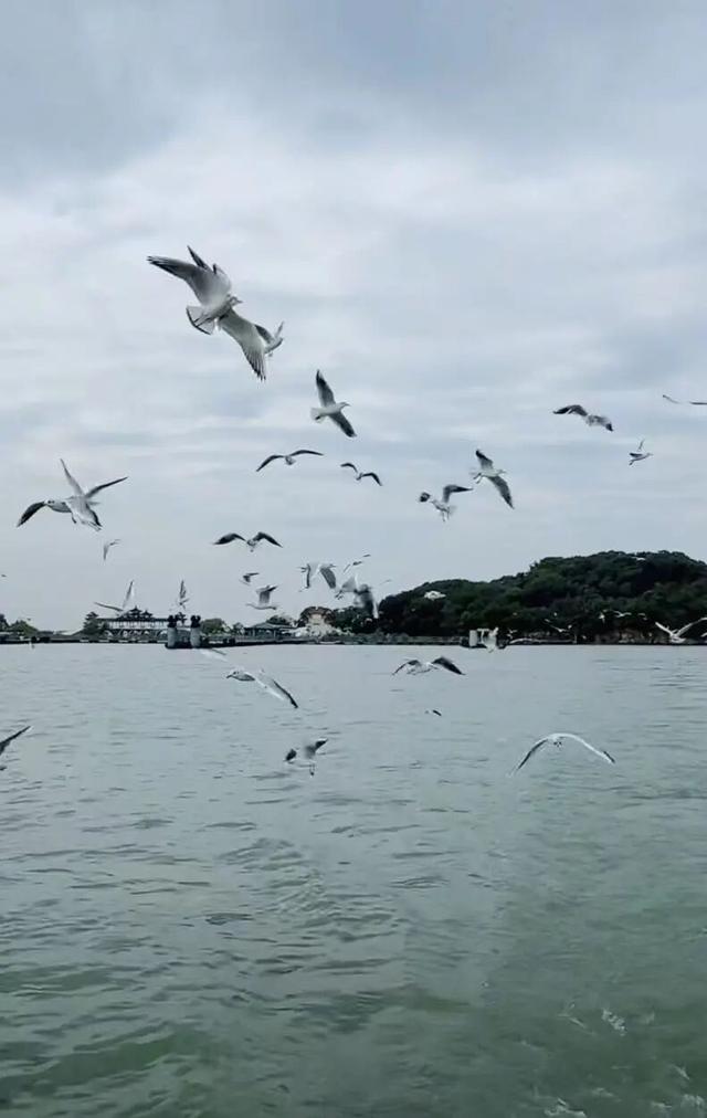 确认了！大批“顶流”抵达无锡！