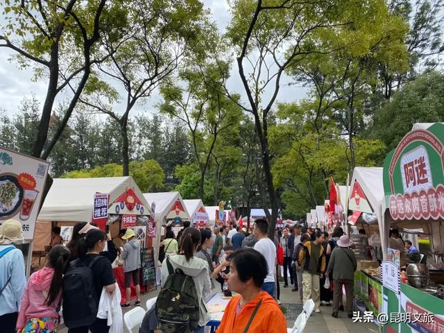 跟着滇超游昆明 | “鸥”然心动!打卡日记已备好,观鸥季精彩继续~