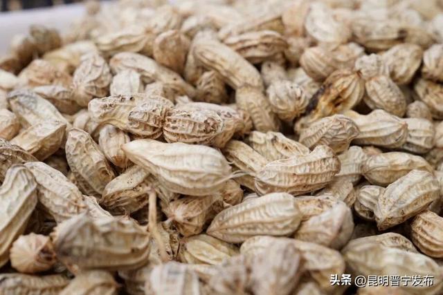 昆阳站临走前冲！晋宁特产采购指南，百元搞定伴手礼！