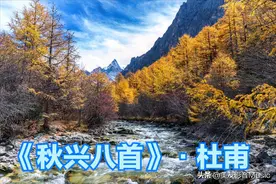 【诗词欣赏】《秋兴八首》·杜甫 || 藏在古诗词里的风情万种图片