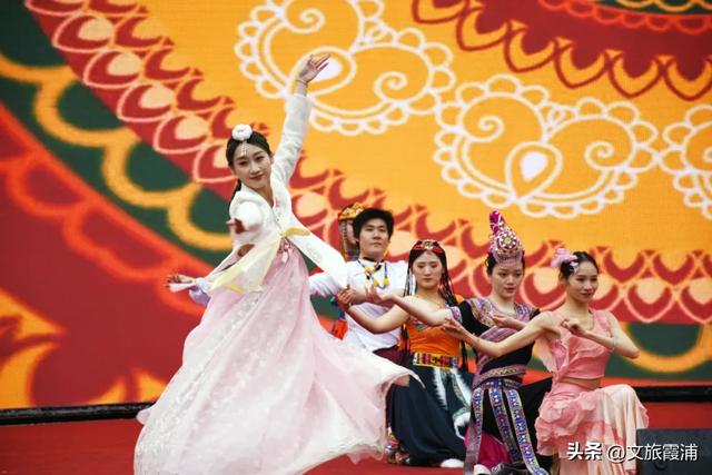 每日一村：茶岗村——茶香畲韵交融，山海间的文旅活力地