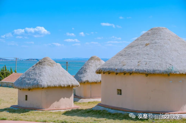 【乐游烟台】藏在北纬38°的海岛秘境！烟台大黑山岛这个夏天赶快安排上！