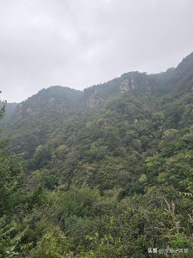 始祖山黑龙潭，水声潺潺，流水不绝，流泉飞瀑，甚是惹人喜爱！