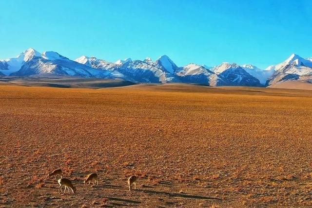 必走西藏的自驾线，带你解锁不一样的 “诗和远方”