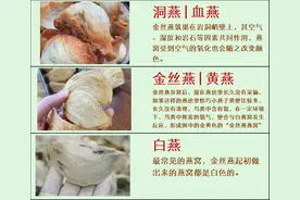 终于有人一次性把燕窝分类说清楚了，太全了，收藏起来慢慢看图片