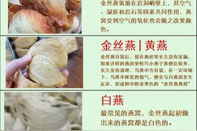终于有人一次性把燕窝分类说清楚了，太全了，收藏起来慢慢看图片
