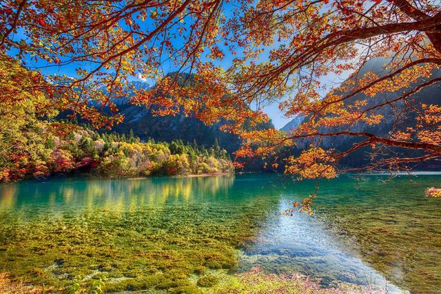 彩林观赏季，赏秋绝佳时，10月-12月适合去看的7处彩色山林