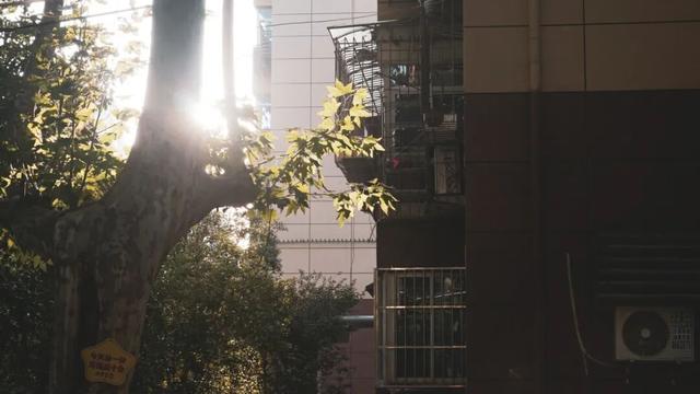 “十一”打卡未央短剧地图（第四期）：潮趣融市井，旧时光里寻味