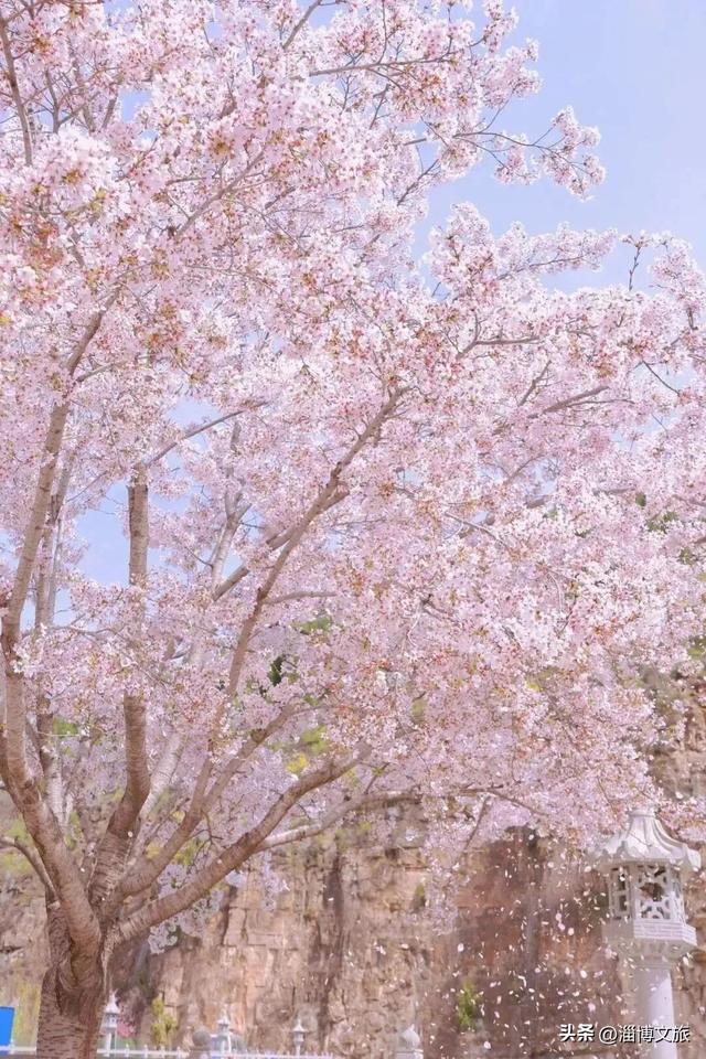 被淄博宠坏了！2026“爱你老己”，就照这样来🧡