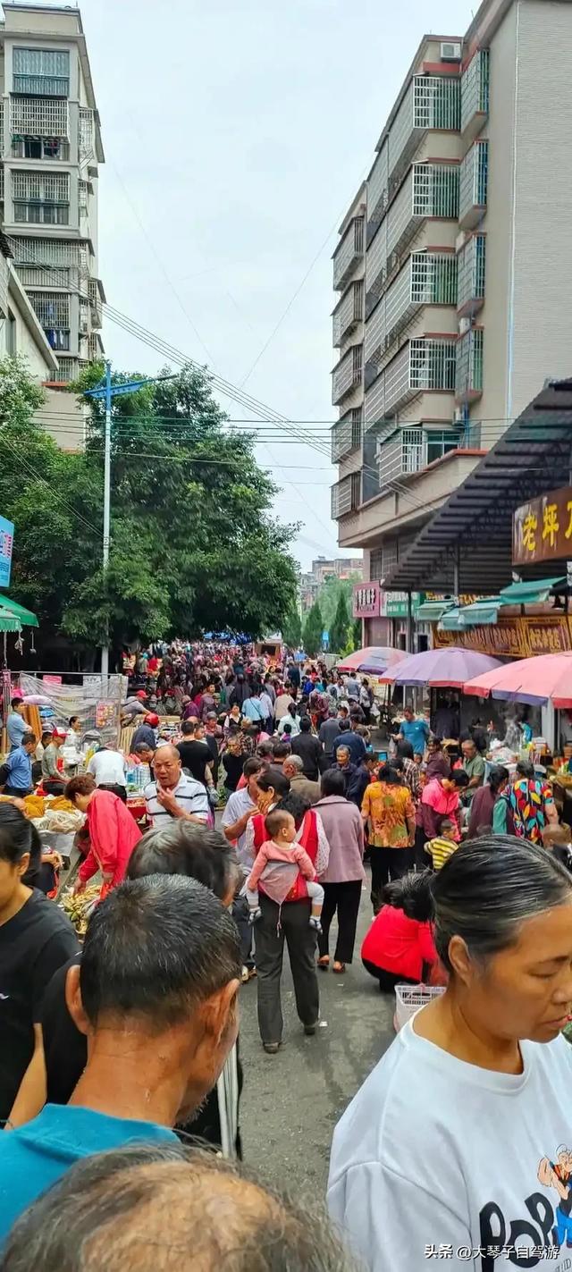 不听车友劝，147公里开了5小时！盘州到兴义，这国道坑我替你们踩