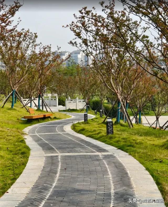 成都公园地图丨晒太阳不打挤的20个公园,东南西北全覆盖