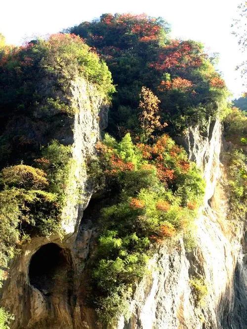 [湖北 襄阳市保康县]