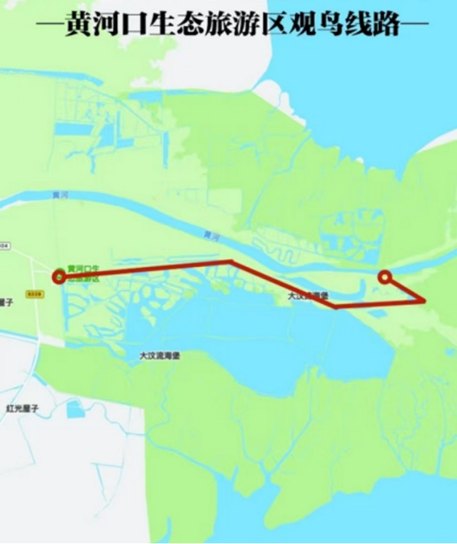 黄河入海 大美垦利 | 东营垦利观鸟贴心攻略