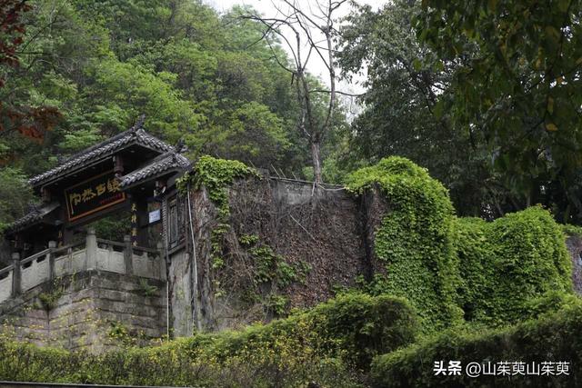 2023年春重庆探亲记（三）