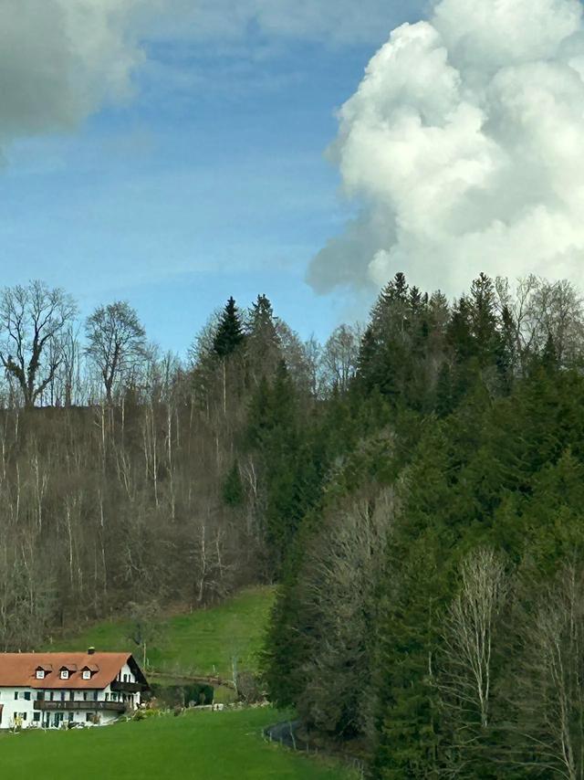 德国、奥地利之旅