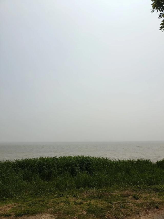 天津《团泊湖》