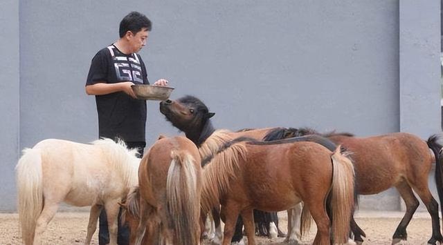 于谦财务暴雷仅3天，底裤被扒底朝天，孙越、吴京也意外被牵连