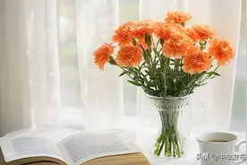 致全县广大教师和教育工作者的一封信🧡图片