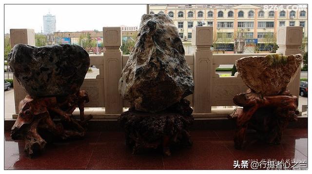 山东行游影记（26）—平邑天宇自然博物馆（一）