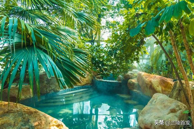 好客山东好品山东｜临沂遛娃去哪儿？初冬攻略收藏就出发～