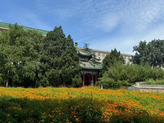 深度 | 北海百年，从皇家御苑到人民公园