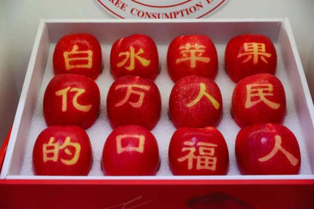 总要来一次白水