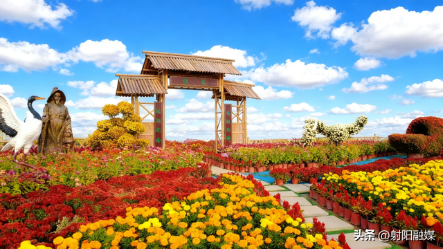 射阳秋冬顶流！出片率100%