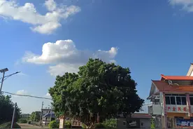 中国人实在是聪明，而且聪明绝顶，比犹太人更胜一筹图片