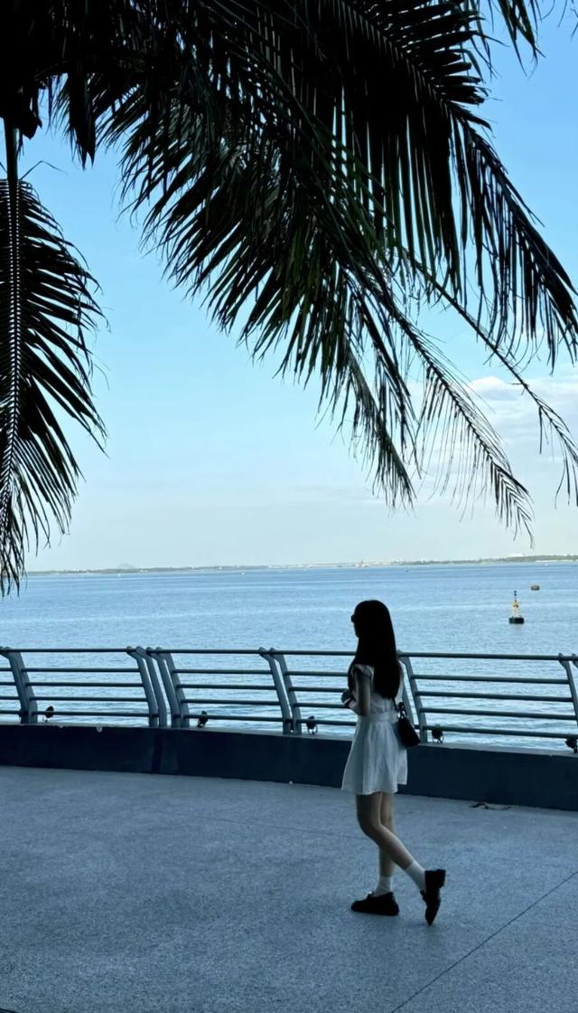出片率超高！湛江宝藏海景机位，藏在“隐秘的角落”