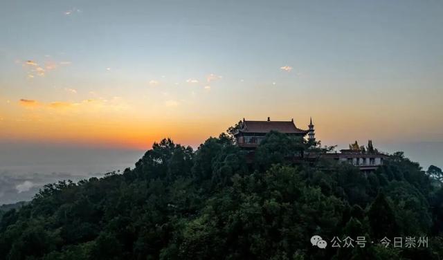 速来→崇州正上演初冬金色浪漫大片！