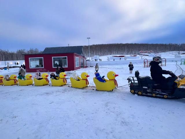 牙克石：大雪节气至 雪域盛景开