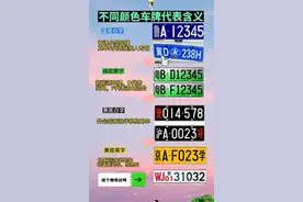 不同颜色车牌代表含义，看完长知识了，收藏起来看看吧。图片