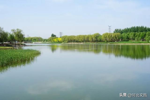 解读一街一河五湖十六泉|第七站：邢泽湖