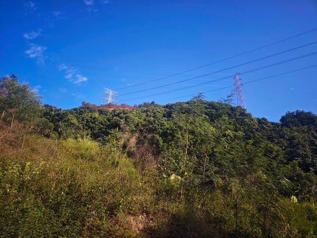 从丽康路穿荔园溪谷至西丽湖绿道骑行随拍