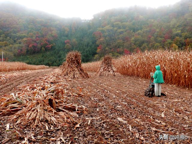 南太子河弯最多最惊险也是风光最美的一段——本溪“湖里”