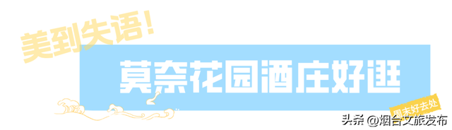 【乐游烟台】周末好去处丨神级出片！发现烟台版“霍格沃茨”城堡