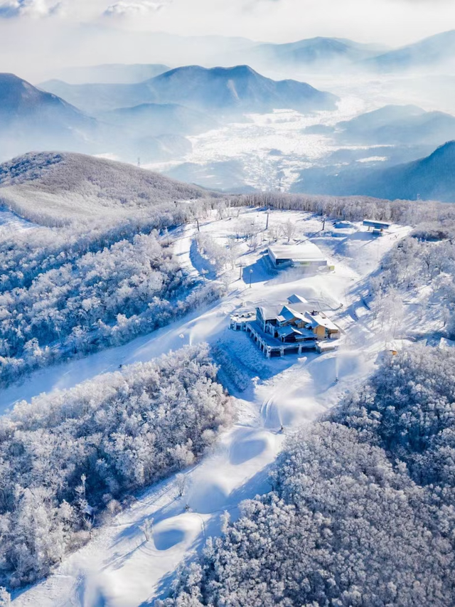 俄罗斯萌娃都来了！你还等啥呢？