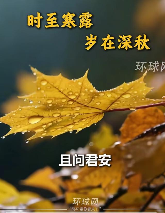 寒露这天	，在故宫旁听句大白话提醒：天冷了，这3点你可得上心！
