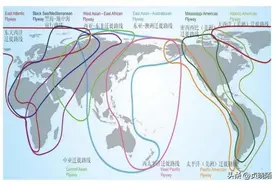打破认知！大量候鸟“鸟流”竟然横向飞越塔克拉玛干沙漠图片
