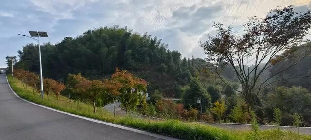 秋假来了，来龙卦山中寻诗意