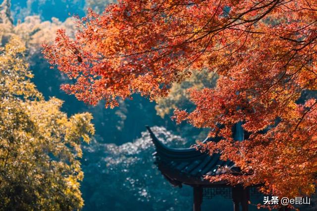 久等了！红透啦！