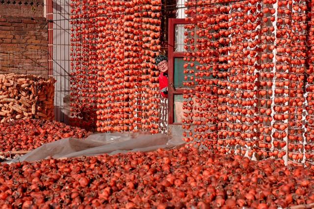 四川人别藏了！剑门关的悬崖餐厅比张家界玻璃栈道还刺激！