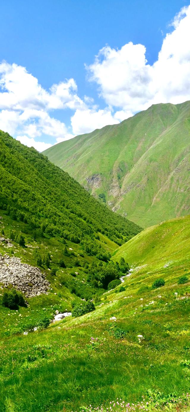 手机壁纸|风景