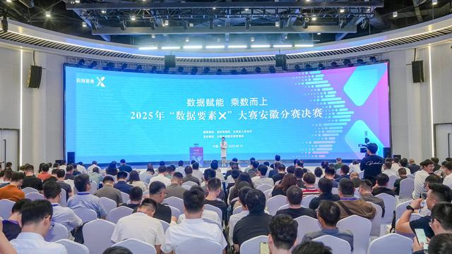 2025年“数据要素×”大赛安徽分赛决赛圆满收官