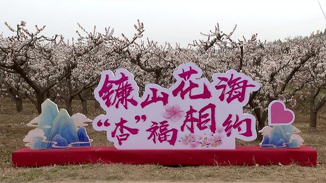 2026年3月9日 渭南文化旅游资讯微报（组图）