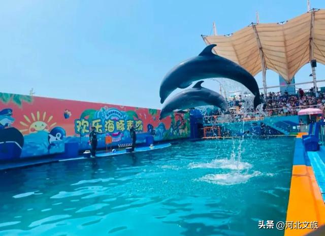 秦皇岛全面开启“宠客”模式！景区免费特惠，免费停车、免费专线！