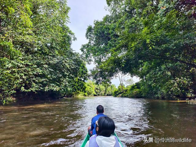 马来西亚(29)砂拉越州③姆鲁山清水洞·风洞