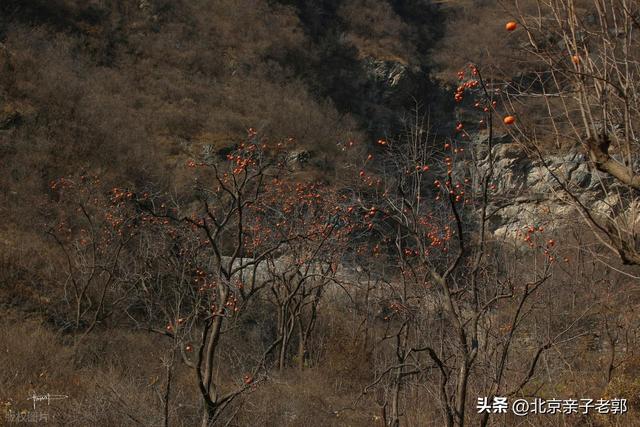 少有人知道的秋季徒步路线，还有太监墓