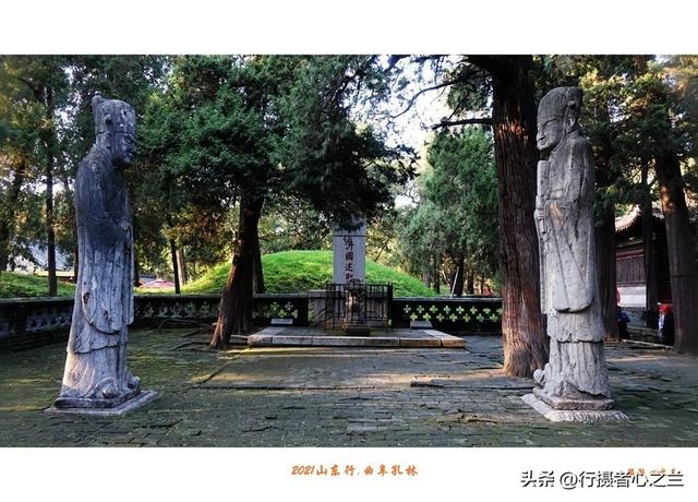 山东行游影记（228）—曲阜孔林（四）